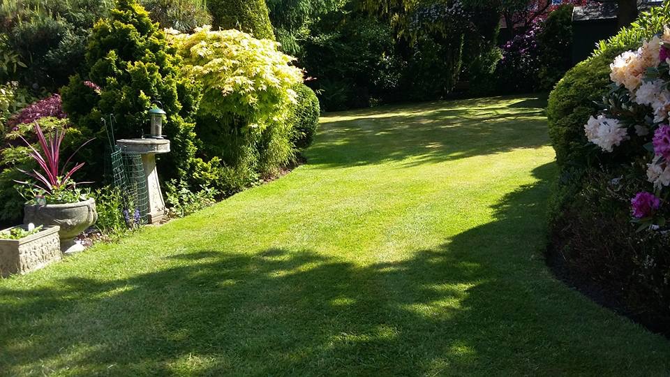 Gardener: Image 11